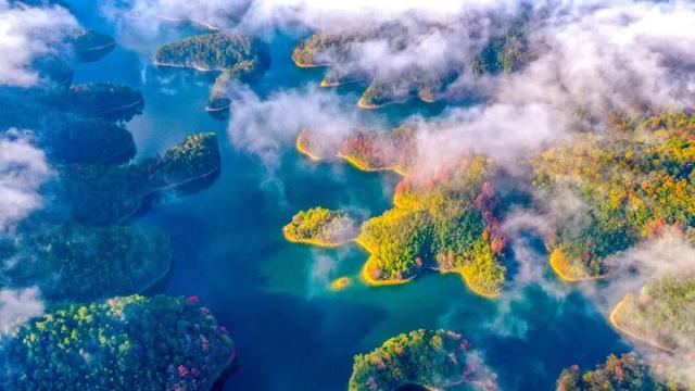 高铁最低四折起！千岛湖说：“这个时候，见面更容易了……”