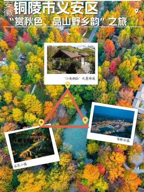 精品推荐！长三角11条线路藏满秋趣，快出发吧
