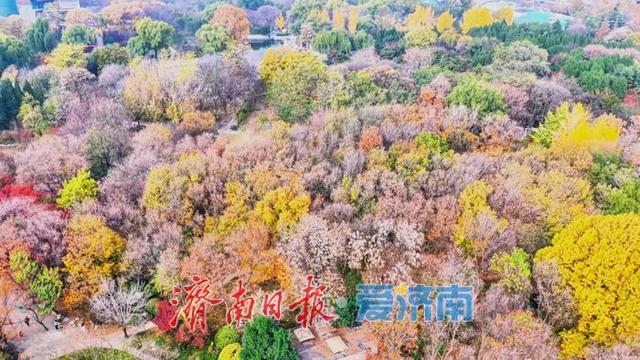 初冬，泉城公园开启“高饱和度”模式