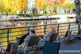 国土空间生态修复典型案例⑪｜朝阳区亮马河生态修复图片