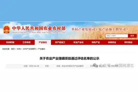 湖北11个乡镇入选国家级名单图片