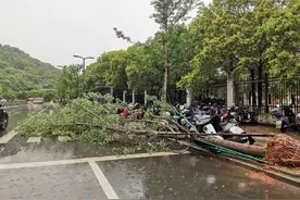 江西再现堪比台风的强对流天气，目前南方多地不断有新生对流图片