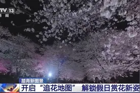 踏青“追花”、乡野观光……清明出游解锁新趋势图片