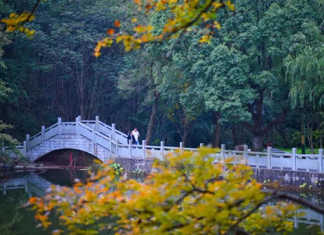 今日浓度50%！巢湖人都懂