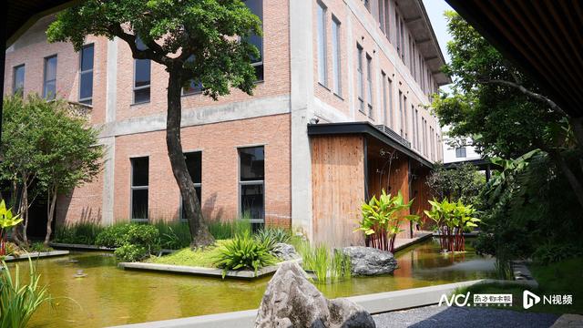 顺德60多年历史老厂房变身，开园半年超10万人“打卡”