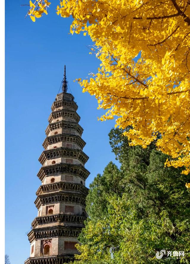 组图丨一大波美图来袭！泰山景区9个赏秋地超出片