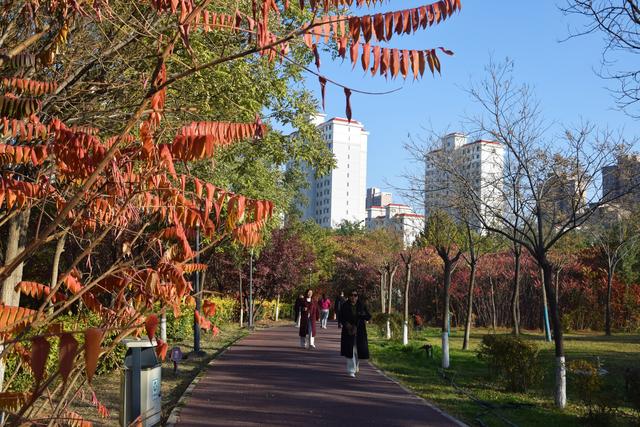 组图丨天马湖秋暖 晴光染岸香