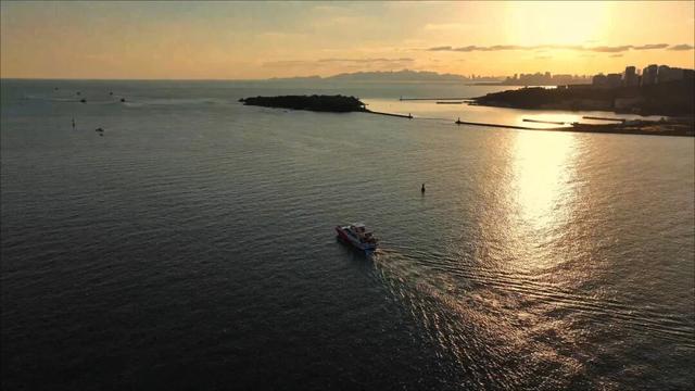 海上打卡“鱼鸣夕照”，黄岛“追鸥逐浪”航线邀您共赴金色浪漫