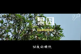 当阳：在这燥热的夏季，让缤纷的水果治愈一切吧~图片