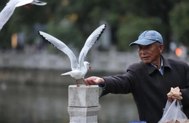 昭儿～来看滇超联赛 要在昆明耍几天呢噶