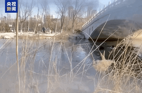 “你下去行吗？” “行不行我也得下去！”