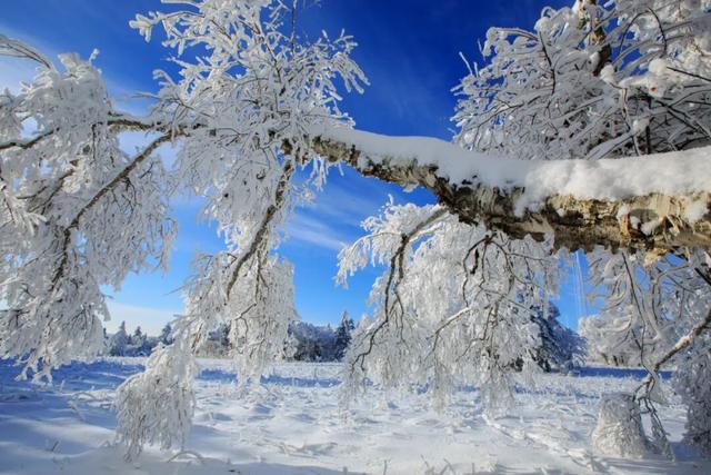 升咖版安图即将上线！N种冬日诗意美景等你打卡