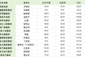 电力央企“一把手”年薪披露，业绩好助推薪酬整体上调图片