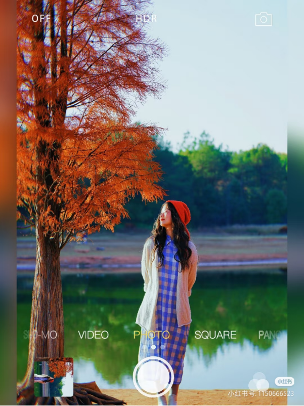 冬日限定！弋阳龟峰百年红杉林正红艳，邂逅一片“火焰童话”