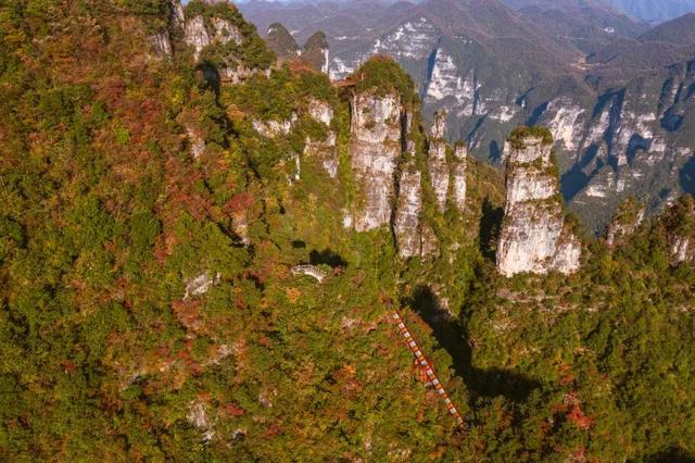 湖北有礼 | 免费领门票！打卡三峡红叶季，赴柴埠溪、百里荒金秋浪漫之约