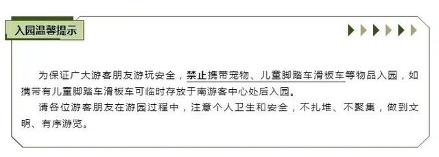 相约南宁！2025南宁森林苗寨印象·千年苗侗狂欢节！10月1日起送票啦！