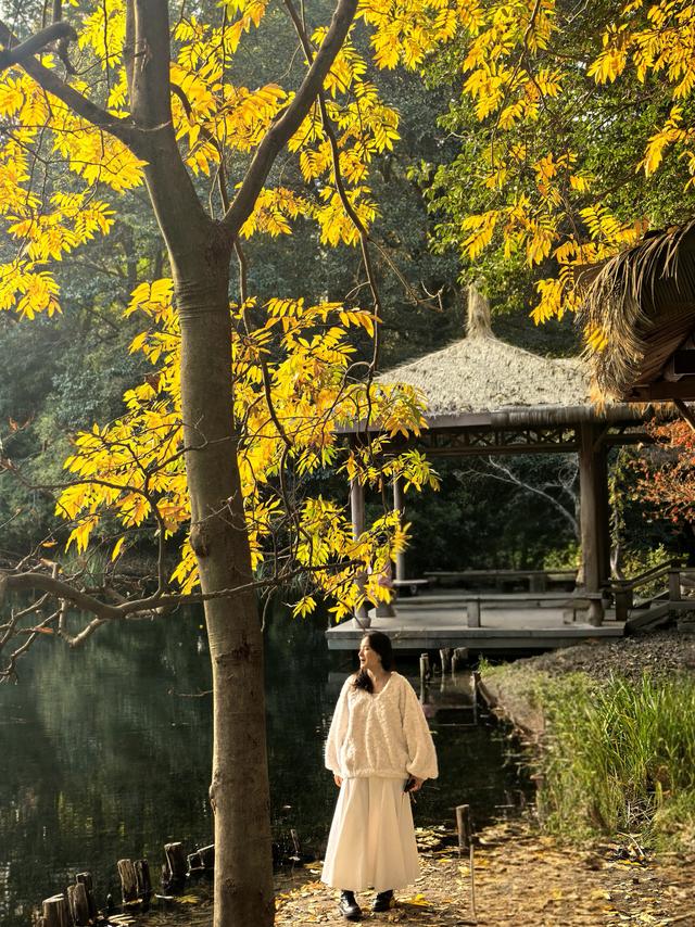 晚潮｜西湖赏枫人群中为何少了苏轼