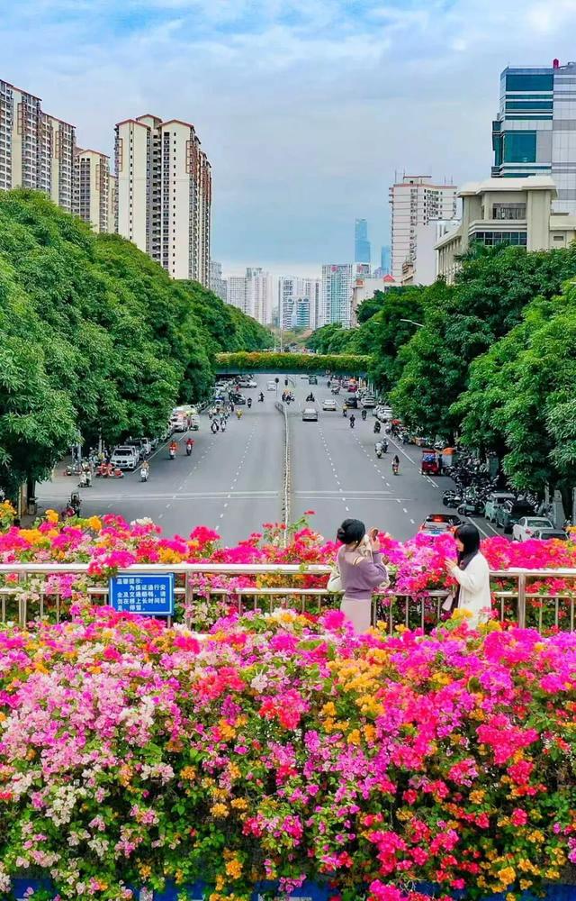 11月的浪漫被TA承包了！南宁“空中花桥”火了，秒变童话世界