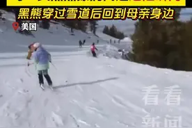 黑熊突然闯入滑雪场找妈妈 险些与多名游客相撞图片