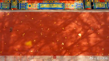 转发收藏！故宫初冬鎏金壁纸上新了