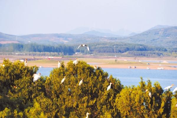 驻马店：素颜驻马店 美出天际线——驻马店“十四五”生态答卷引发社会各界热议