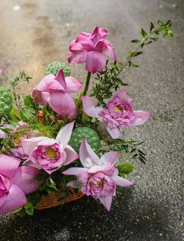 七夕赏荷、浪漫邂逅，2025上海松江荷花节“荷塘月色·印象新浜”主题活动来啦