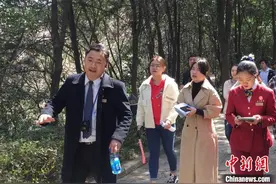 “理工男”跨界讲解员 他把龙门石窟讲给世界听图片