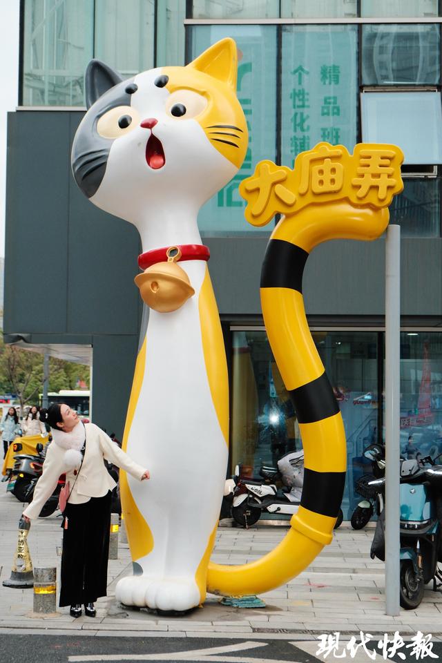 读城｜大“喵”弄！常州千年城隍巷成了“喵星人乐园”