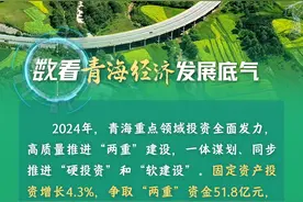 【坚定信心 实干争先】海报丨数看青海经济“发展底气”图片