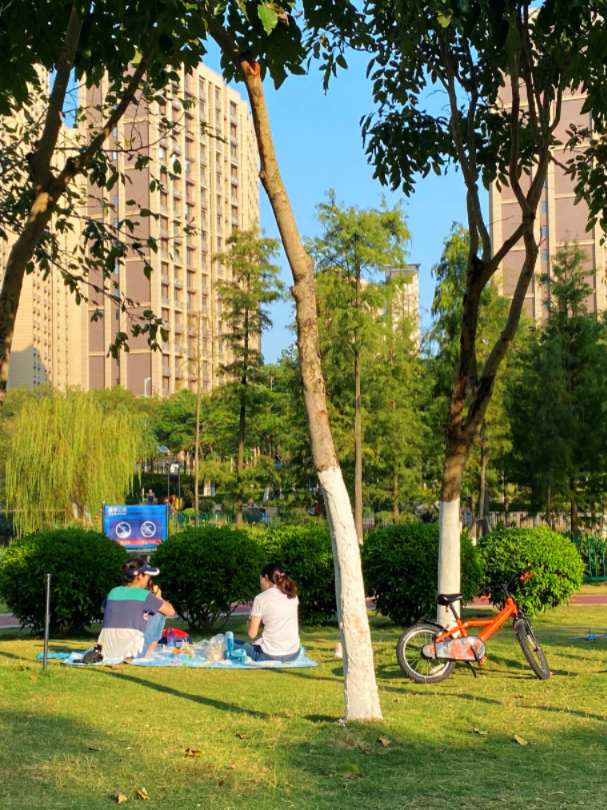 3分钟，我要这些公园的全部资料！