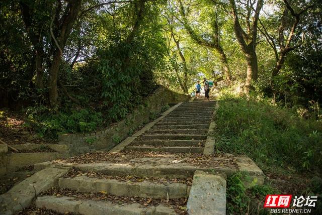岁暖时刻丨秋访茶源渡：一段隐藏在山水间的峥嵘岁月