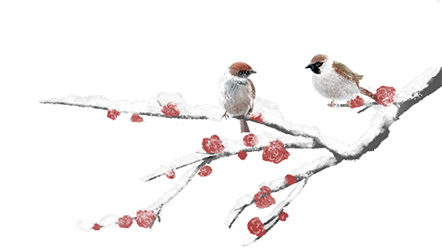 域见上海·域见奉贤｜冬春之交顶流花神C位出道！海湾国家森林公园梅花节定档大年初一