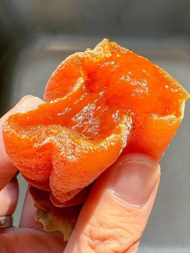 谁说冬天只有黑白？这抹彩色绚烂得不讲道理