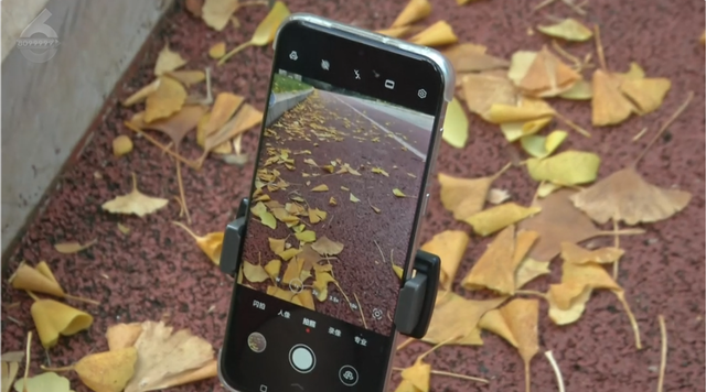 “捡秋”+ 拍大片！洛龙公园“秋日限定”正当时