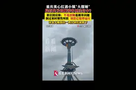 重庆一“大摆锤”故障游客倒挂空中? 景区回应图片