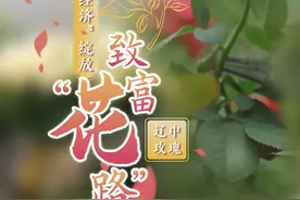 乡味丨辽中玫瑰：“美丽经济”绽放致富“花路”图片