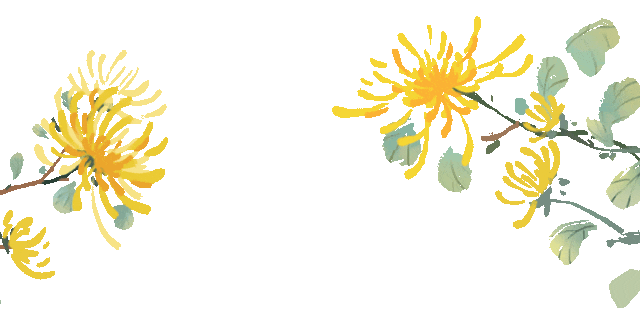 逛秋花集一定要看这个！攻略奉上