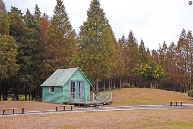 武进绝美打卡地！在嘉泽、湖塘、雪堰、前黄……