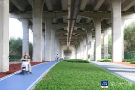 沿江高速桥下的“秘密花园”图片