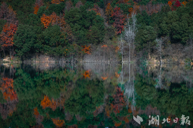蕲春塔林的秋天，让人不愿离开