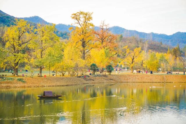 这6个新晋“度假顶流”，承包你的四季美好