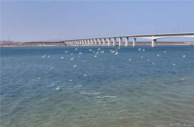 来高区，在海与诗里邂逅时光温柔