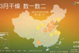 天坛公园的柏树“冒烟”了！北京：逐步更换易致敏树种图片