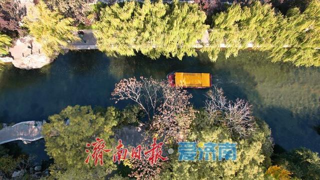 一年四季 泉在济南丨济南护城河初冬景如画 游人打卡赏斑斓