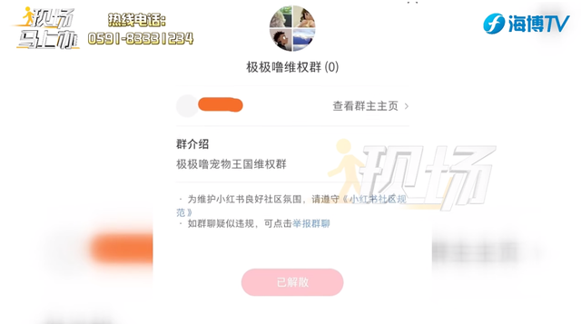 宠物店连夜关门，店内还有猫狗无人照顾？
