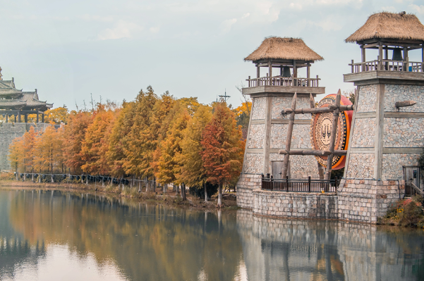 街头大量出现！常州人都已经捡上了