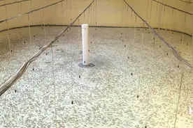 一条“国宝鱼”的全人工繁育之路图片