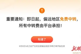 电商风云2024：拼多多引领西进，包邮无问西东图片