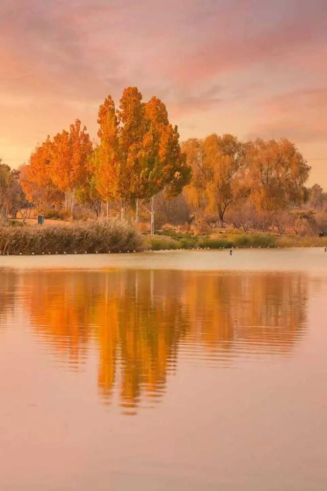 最新！北京多公园彩叶变色率达100%，赏秋还请抓紧机会