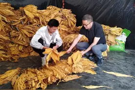 湖北南漳：逐梦陡山间图片